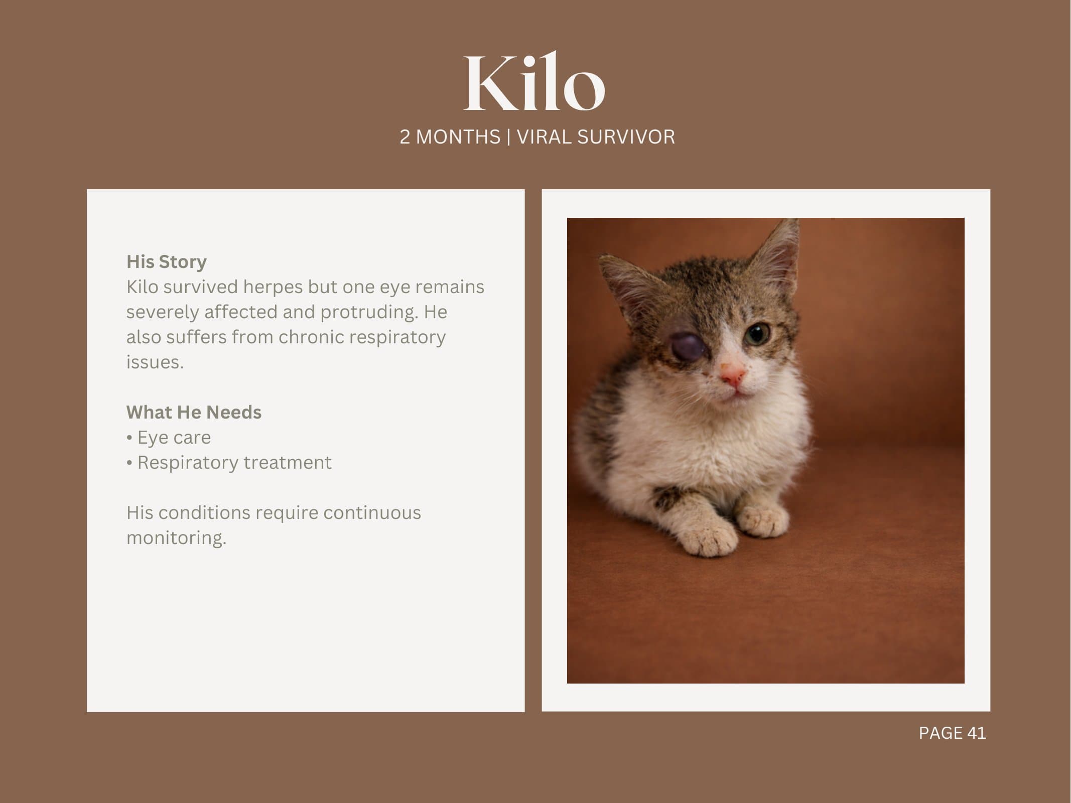Kilo